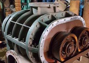 1636449080197882.jpg 1636449080197882.jpg