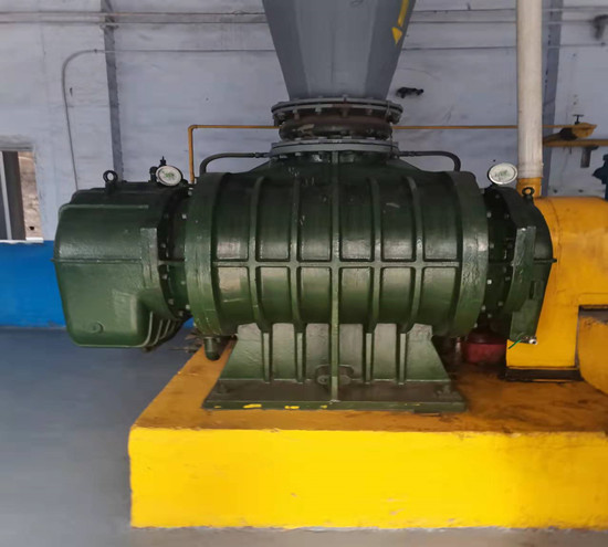 1636454638185179.jpg 1636454638185179.jpg